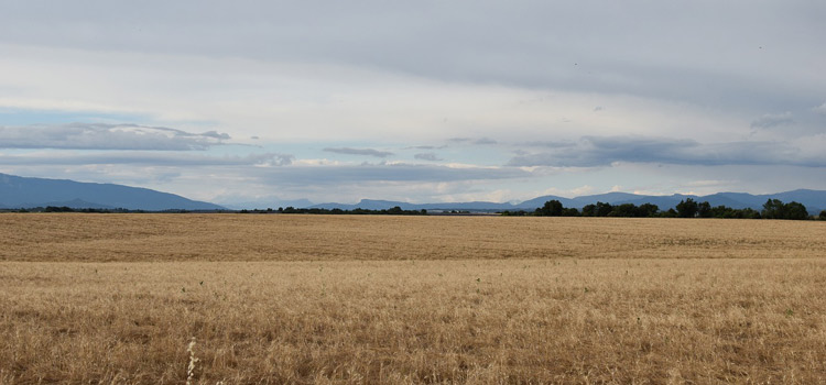 Réserve Naturelle des Coussouls de Crau